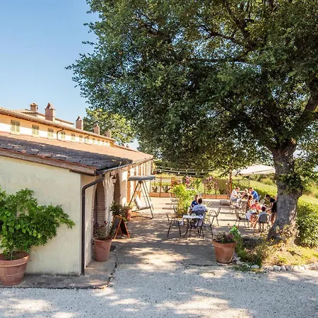 Beautiful Apartment In Trequanda With Swimming Pool